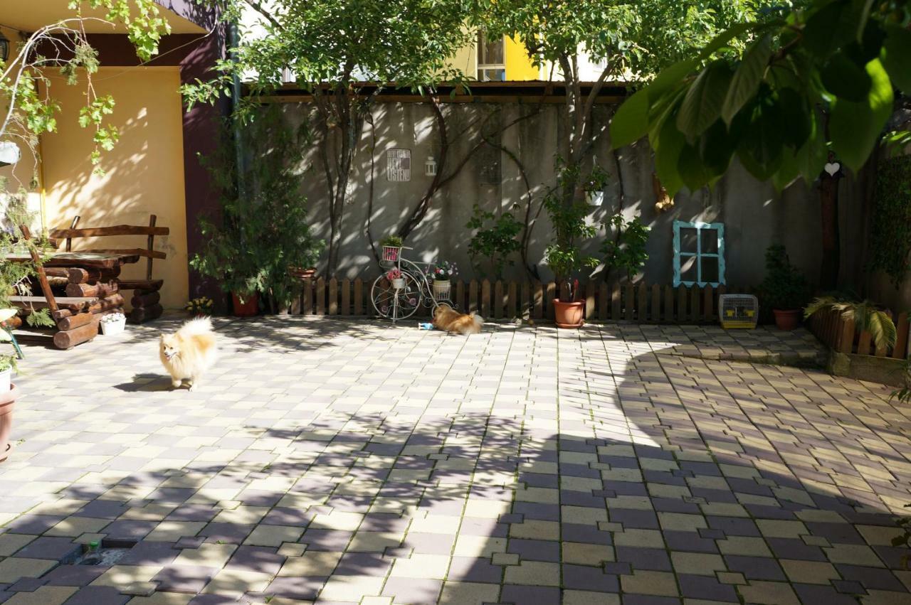 Collosal Studio Bucharest Luaran gambar